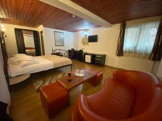 Отель Hotel Hanul Fullton Клуж-Напока Стандартный двухместный номер с 1 кроватью-2