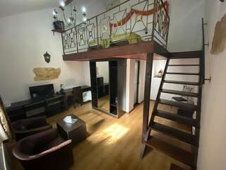 Отель Hotel Hanul Fullton Клуж-Напока Люкс - Двухуровневый-1