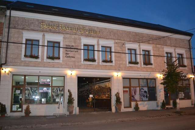 Отель Hotel Hanul Fullton Клуж-Напока-24