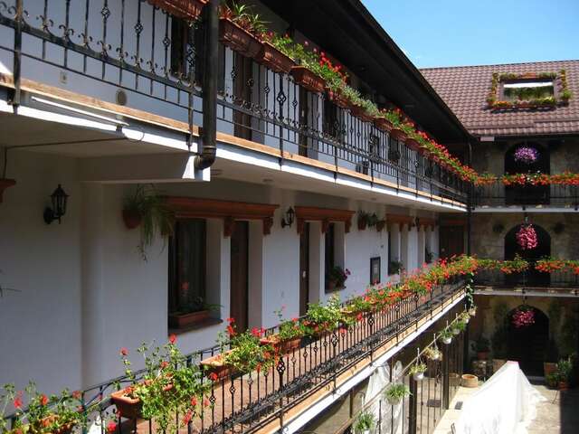 Отель Hotel Hanul Fullton Клуж-Напока-45