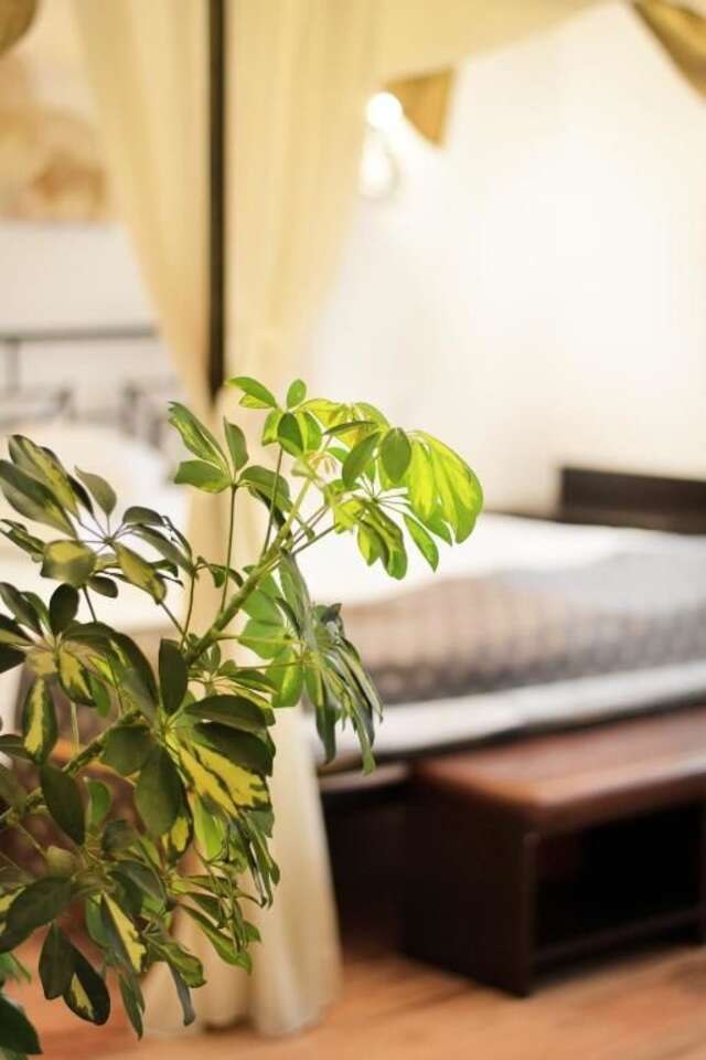 Отель Hotel Hanul Fullton Клуж-Напока-51